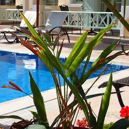 Kalya Oda ve Kahvaltı Kamári